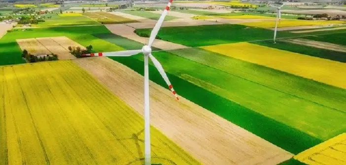 Quelle formation pour travailler dans le développement durable